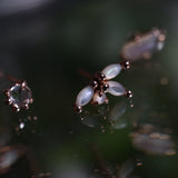 Anaïs Earrings - Laurie Fleming Jewellery