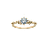 Rose Cut Sapphire Daphne Ring