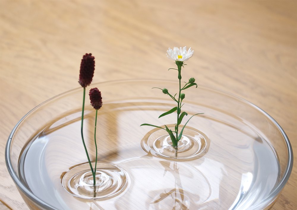 Oodesign Ripple Floating Bud Vase - Laurie Fleming Jewellery