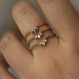 Salt and Pepper Aika Ring, Brilliant Diamond Aika Ring, Rose Cut Diamond Aika Ring - Laurie Fleming Jewellery