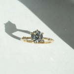 Brilliant Ilona Ring - Laurie Fleming Jewellery