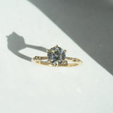 Brilliant Ilona Ring - Laurie Fleming Jewellery