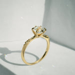 Brilliant Ilona Ring - Laurie Fleming Jewellery
