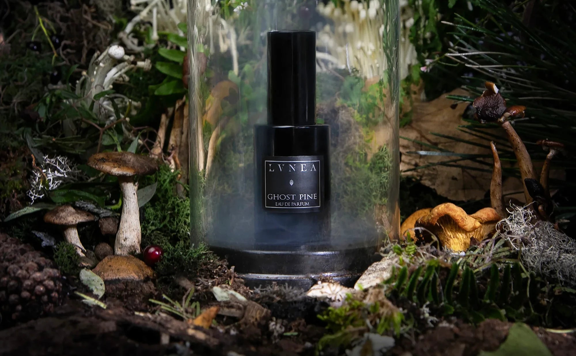 Ghost Pine Eau de Parfum by Lvnea