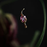 Bleeding Heart