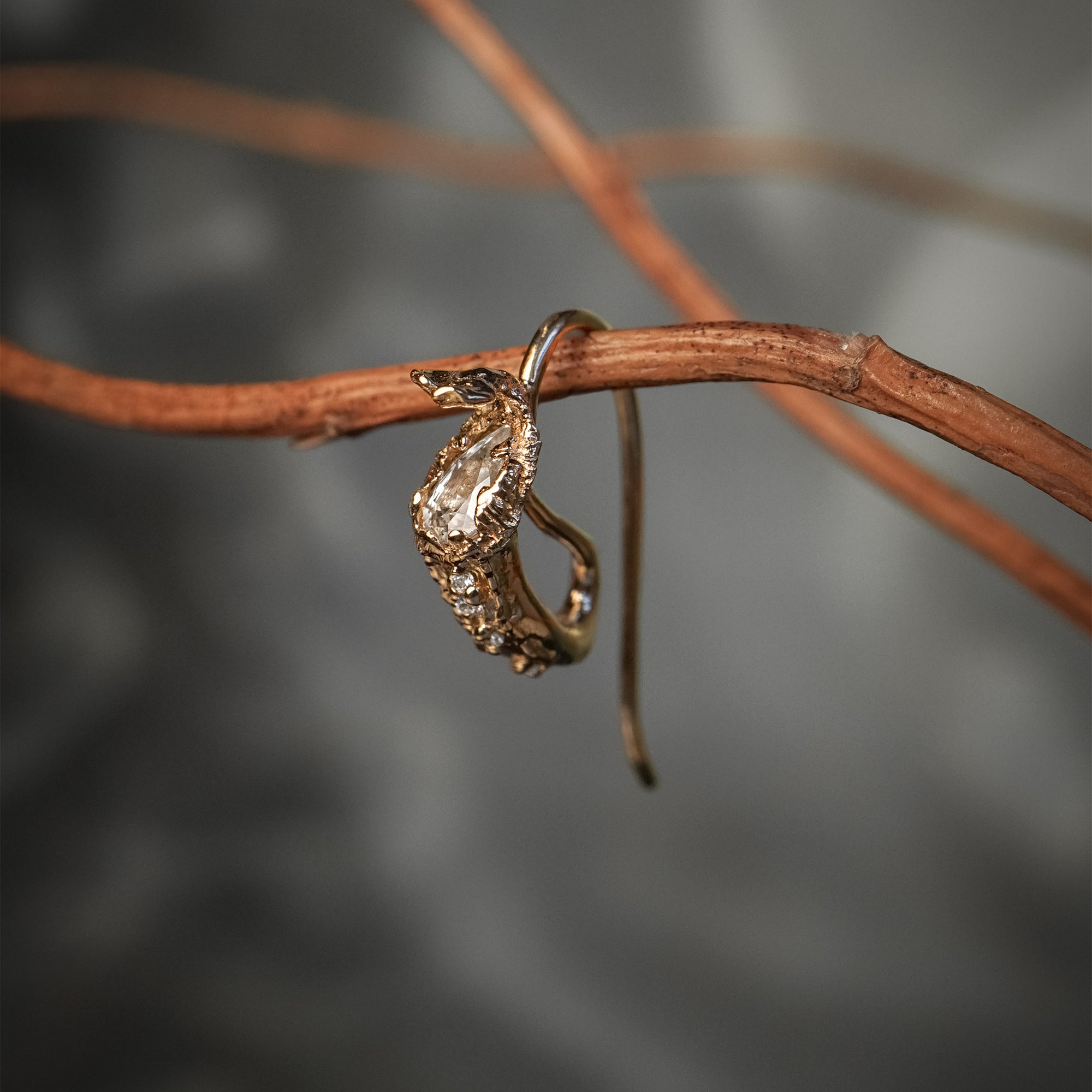 Witch's Pitcher Earrings