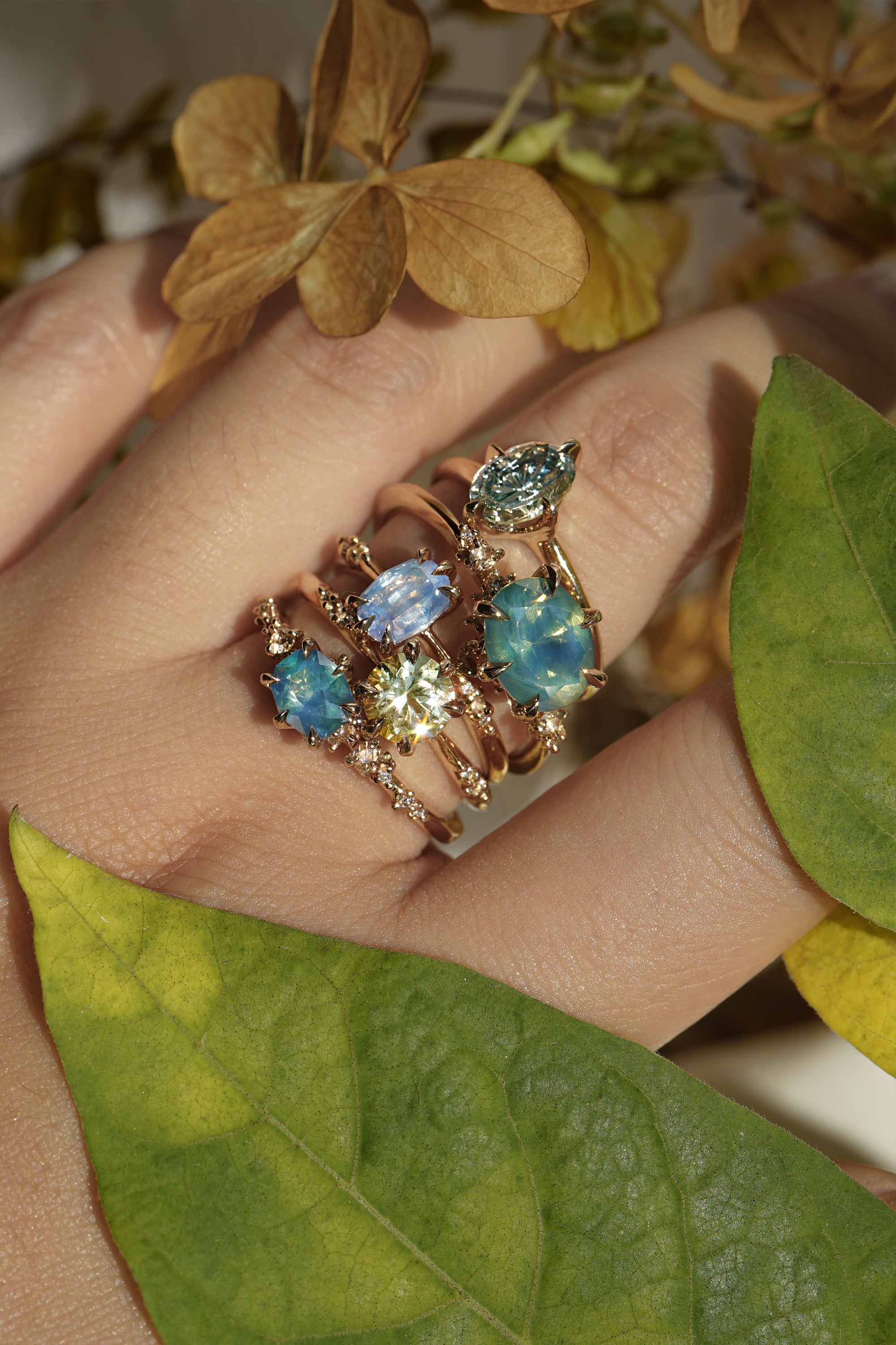 Five one of a kind engagement rings by Laurie Fleming Jewellery worn on a hand, with plants in the fore and background. From left to right: a Nereid ring with an opalescent geometric cut blue-green teal sapphire and diamonds on the band, an Ilona ring with a yellow-grey round brilliant cut sapphire, an Ilona ring with a light periwinkle blue oval cut sapphire, a Nereid ring with a silky opalescent teal oval sapphire, and a Moondew ring with a colour change Starbrite cut sapphire by John Dyer.