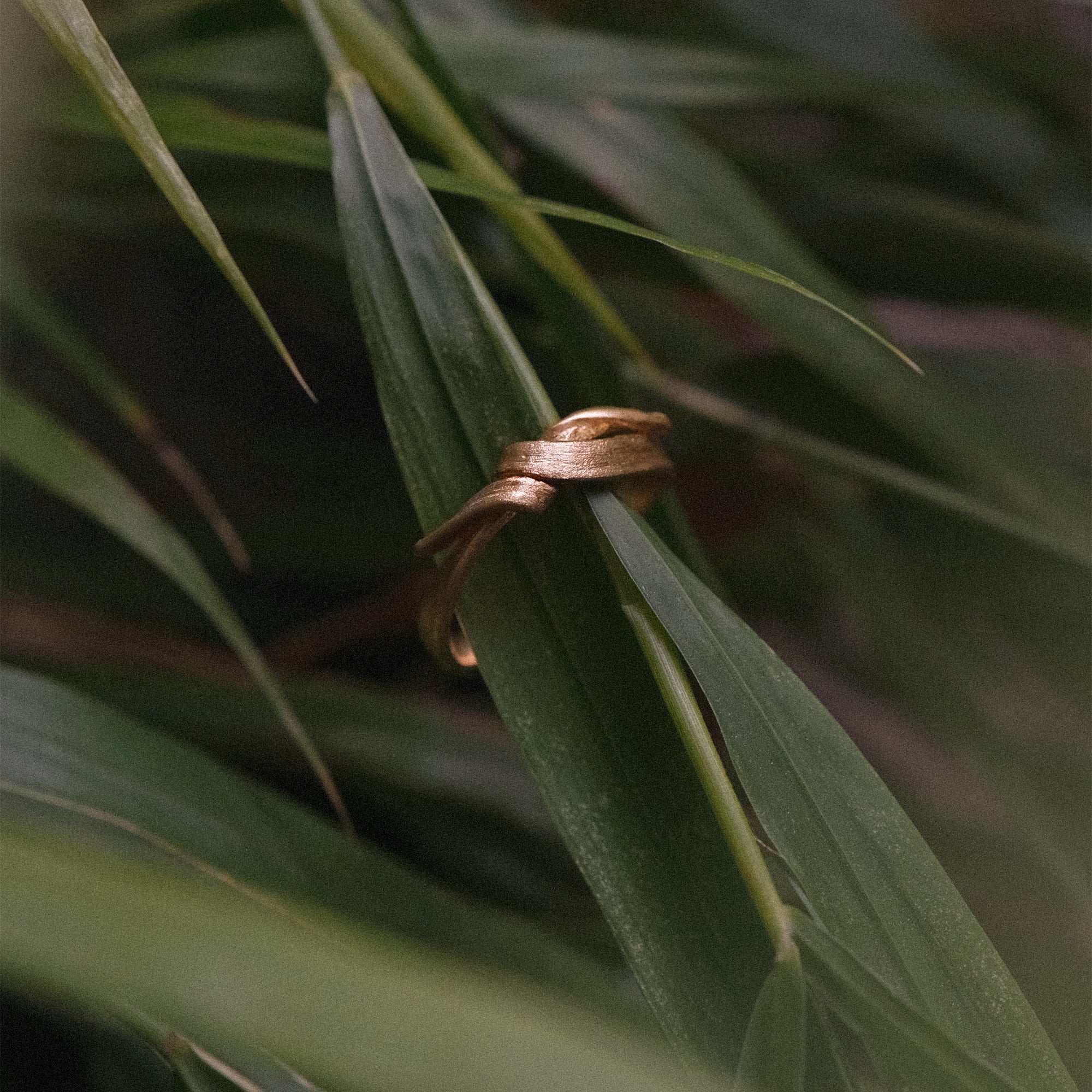 Grass Ring