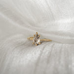 1ct Grey Pear Ilona Ring - Laurie Fleming Jewellery