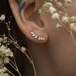 A close up of an ear wearing a Lyrie stud earring with three marquise cut mother of pearl and three marquise cut diamonds. There are dried flower stems in the foreground around the ear.