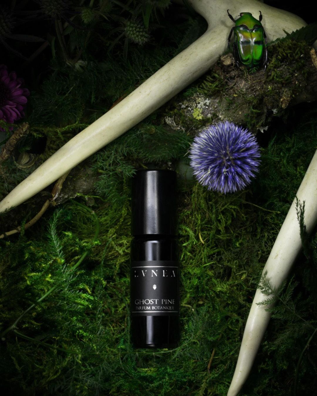 Lvnea Ghost Pine Parfum Botanique with pine needles, wet leaves, moss, wood - Laurie Fleming Jewellery