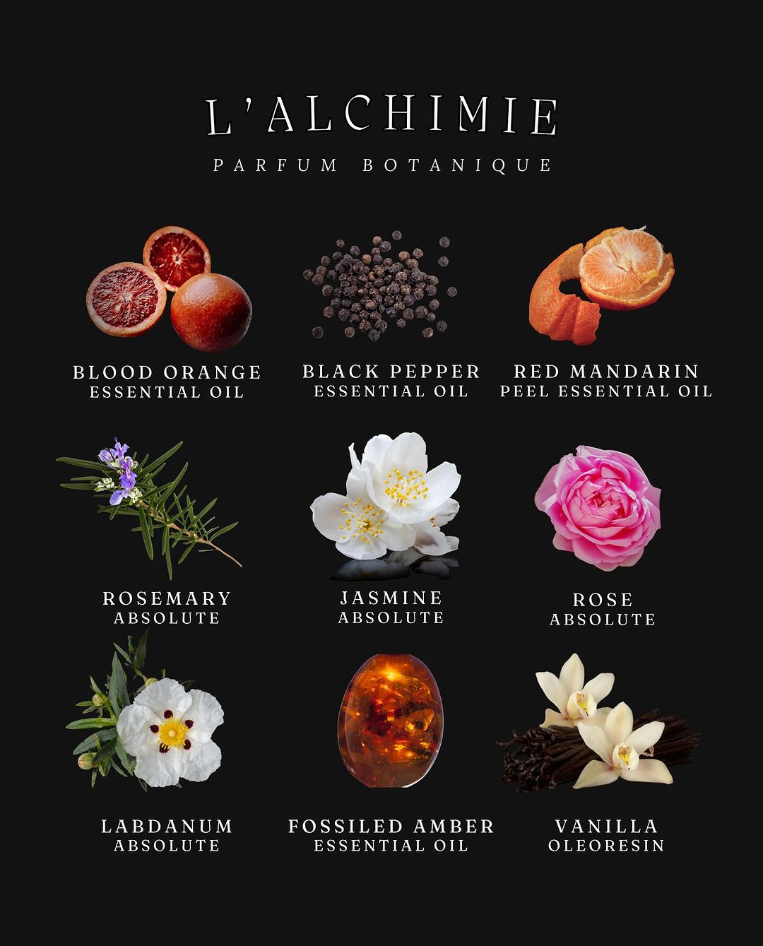 Lvnea L’Alchimie Parfum Botanique with blood orange, jasmine, amber - Laurie Fleming Jewellery