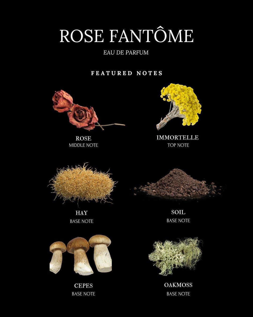 Lvnea Rose Fantôme Eau de Parfum with rose, immortelle, cèpes - Laurie Fleming Jewellery