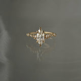 Lab Grown Diamond Daphne Ring - Laurie Fleming Jewellery