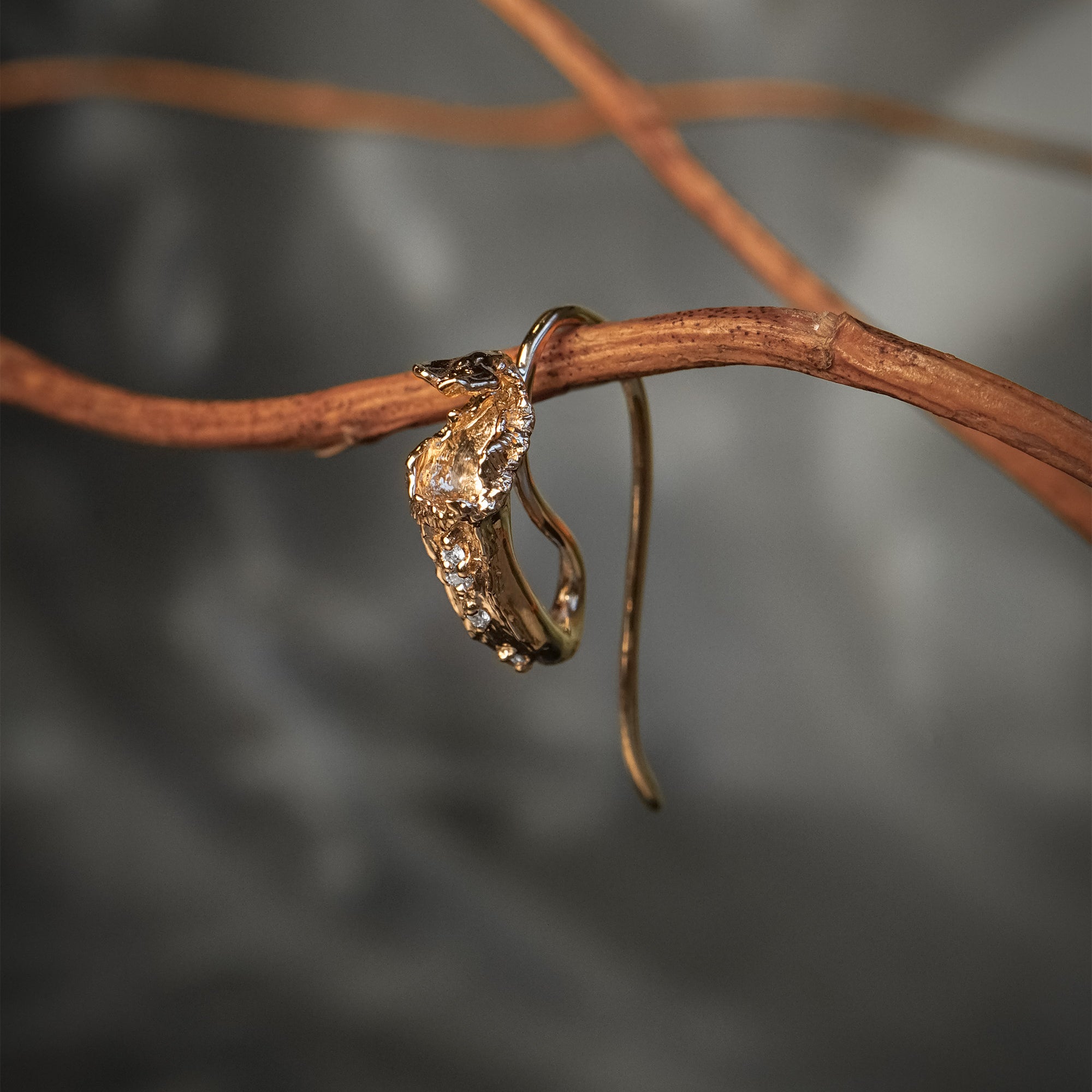 Witch's Pitcher Earrings