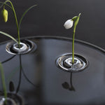 Oodesign Ripple Floating Bud Vase - Laurie Fleming Jewellery