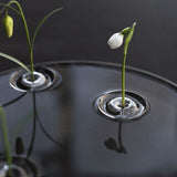 Oodesign Ripple Floating Bud Vase - Laurie Fleming Jewellery