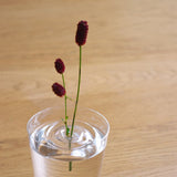 Oodesign Ripple Floating Bud Vase - Laurie Fleming Jewellery