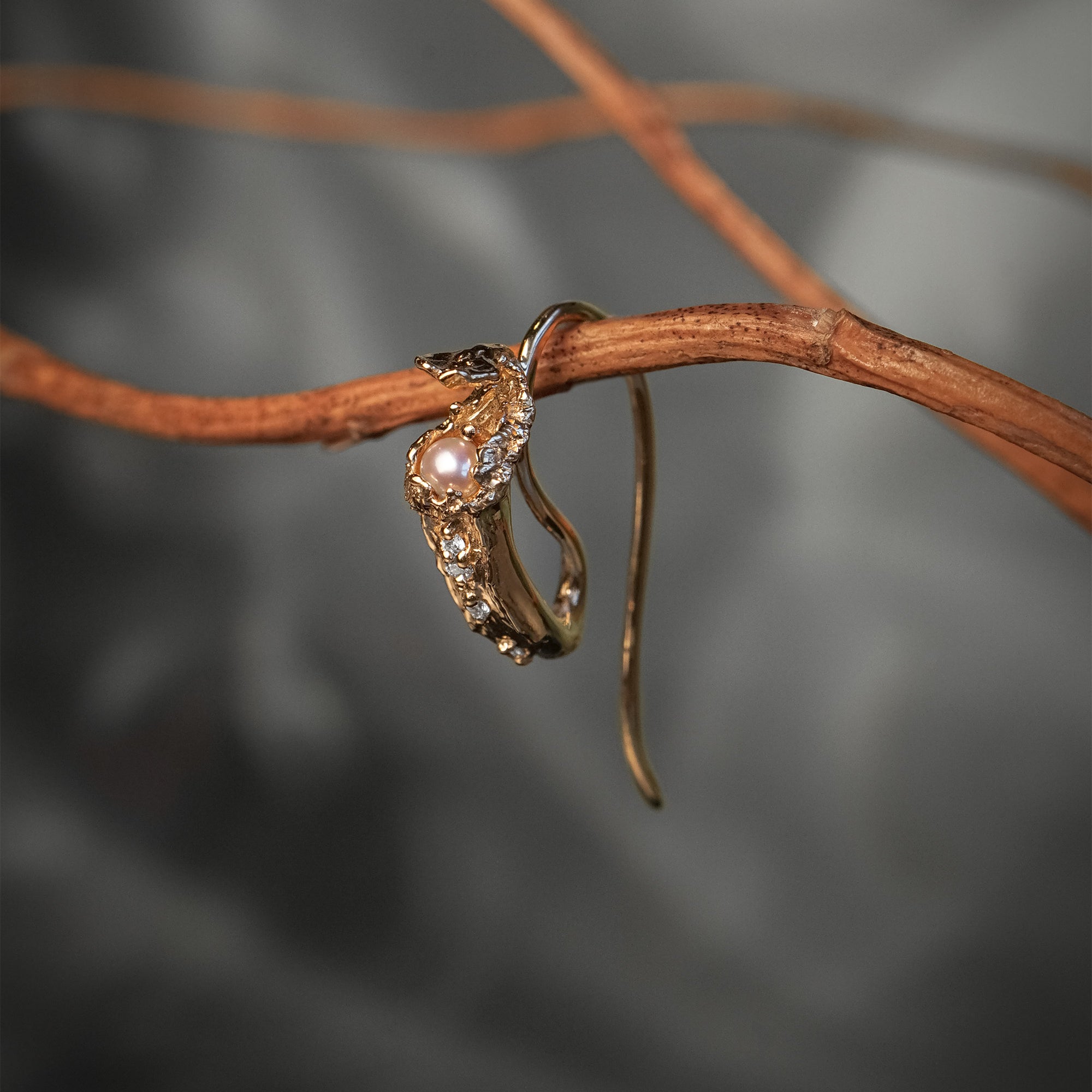 Witch's Pitcher Earrings