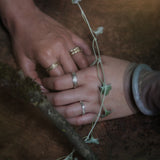 Rooted Band, Round