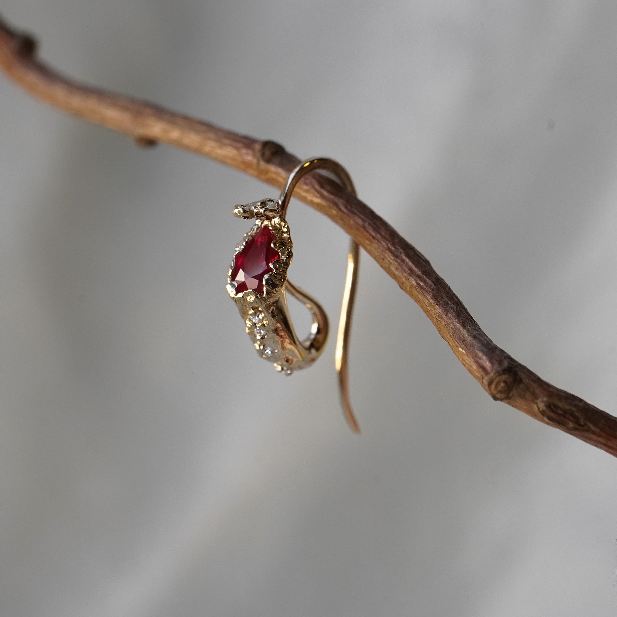 Witch's Pitcher Earrings