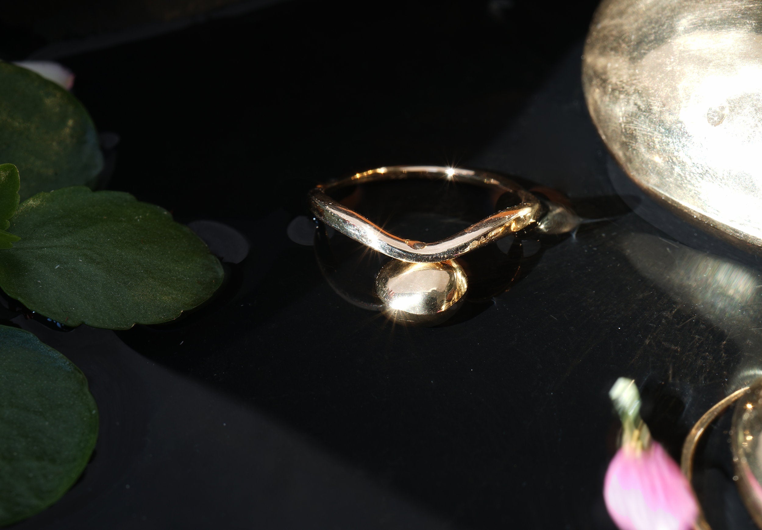 The Undine band by Laurie Fleming Jewellery, which features a gentle contour taper in its hand-carved, plain gold band. The ring is resting on a black surface with scattered plants around it.