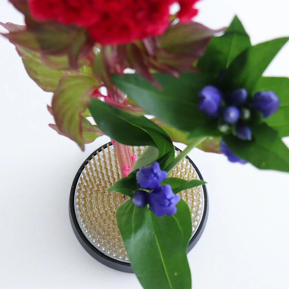 Rana Rotonda Per Fiori Fai Da Te Tinawood, 2 Pezzi Kenzan Ikebana Fiore Rana Organizzazione Rana Spiky Frog Strumenti Fissi Disposizione Floreale Pin Holder Rotondo (2,3 Cm+2,5 Cm Kenzan Rana Rotonda Rana Rotonda Per Fiori Fai Da Te Tinawood, 2 Pezzi Kenzan Ikebana Fiore Rana Organizzazione Rana Spiky Frog Strumenti Fissi Disposizione Floreale Pin Holder Rotondo (2,3 Cm+2,5 Cm Kenzan Rana Rotonda